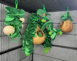 20240628_092218_700x 3 Piece Leafy Hideaway Gourd Set